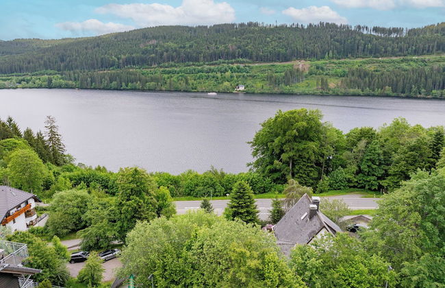 black forest apartments titisee - Foto 70