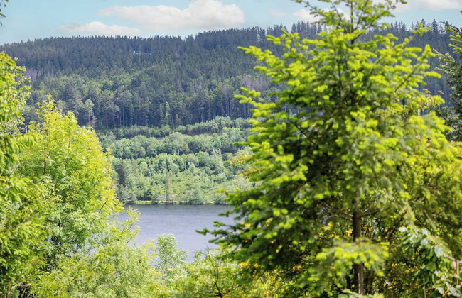 black forest apartments titisee - Foto 69