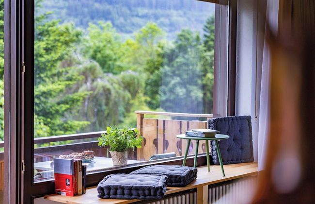 black forest apartments titisee - Foto 55