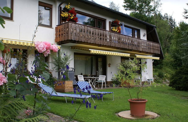 black forest apartments titisee - Foto 64