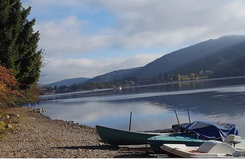 black forest apartments titisee - Foto 65