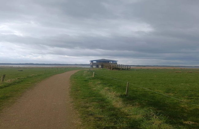 6 Person Holiday Home in Logstor - Foto 16