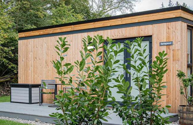 The Spring Wood Lake District Woodland Cabin - Photo 5