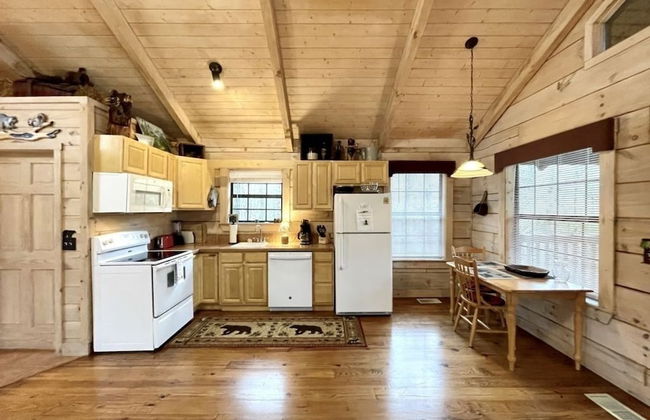 Perfectly private! Hot tub, king sized bed, grill, washer/dryer, and motorcycle friendly! Studio Cabin by RedAwning - Foto 5