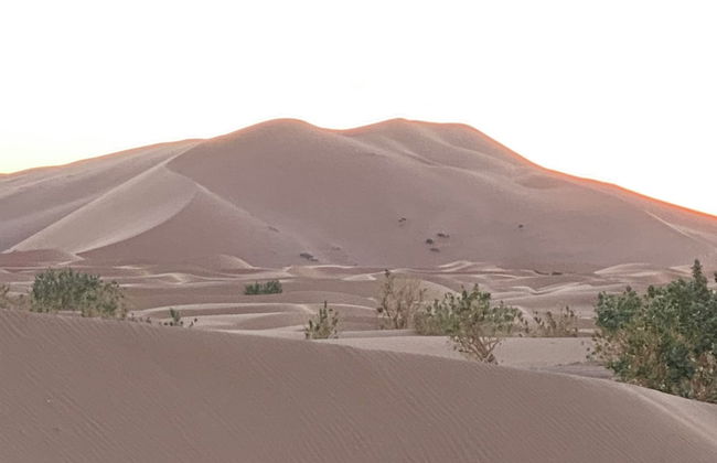 erg Chebbi sahara camp - Foto 8