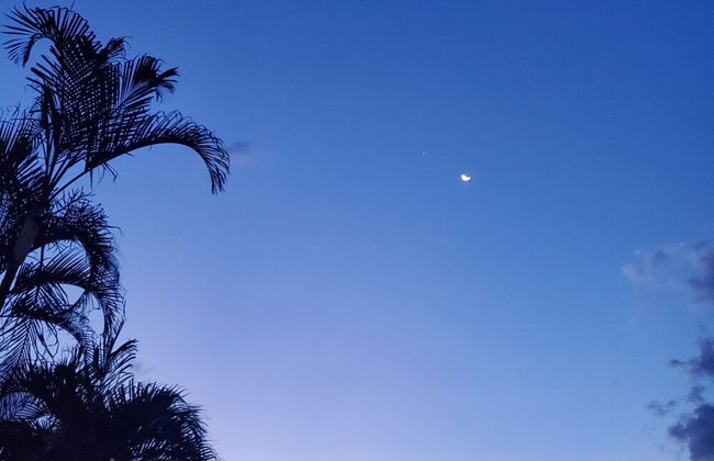 Rancho Ventura - Foto 62