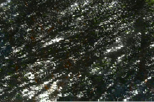Photo 35 - Rancho Ventura