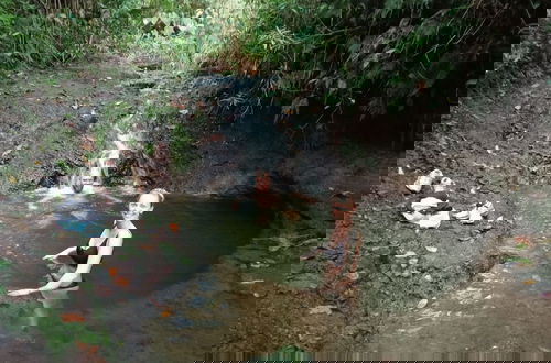 Photo 31 - Rancho Ventura