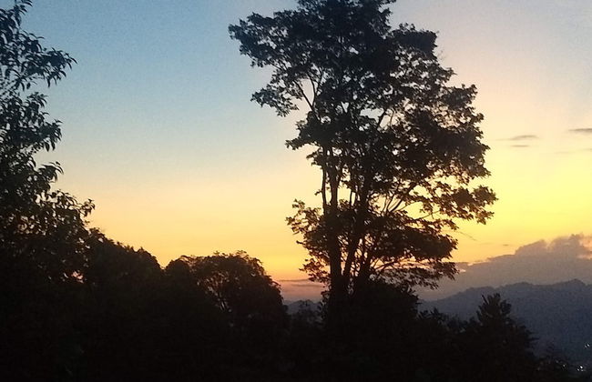 Bhakti Coffee Farm - Foto 15