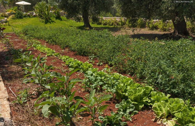 280 Villa con Piscina a Casarano Gallipoli - Foto 30