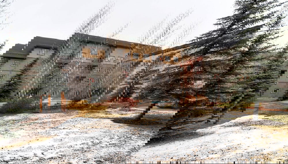 Image principale