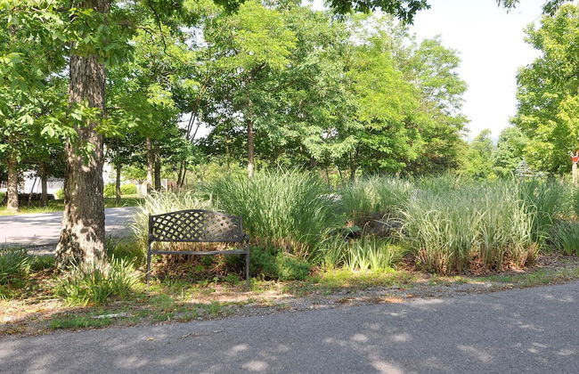 Cacapon Connected - Workplace Retreat - Foto 48