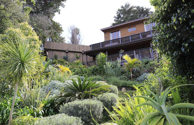 Big Tree House Lodge - Foto 33