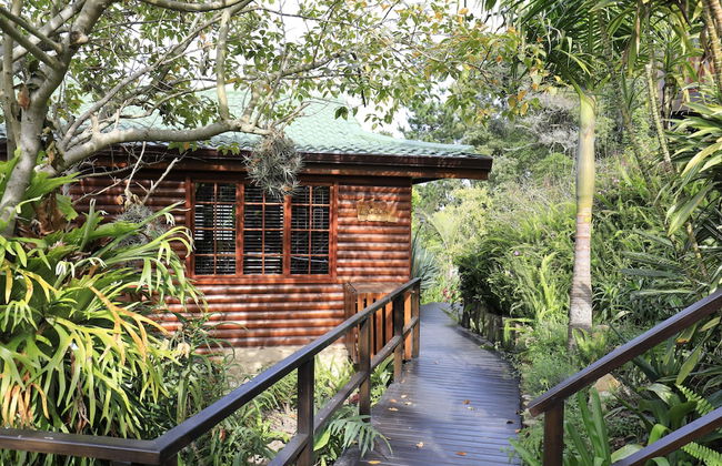Big Tree House Lodge - Foto 37