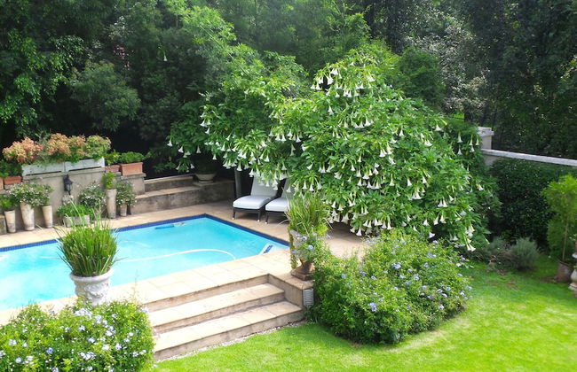 Melrose Executive Suites - Foto 33