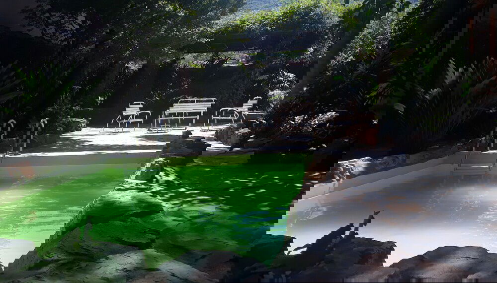 Image principale