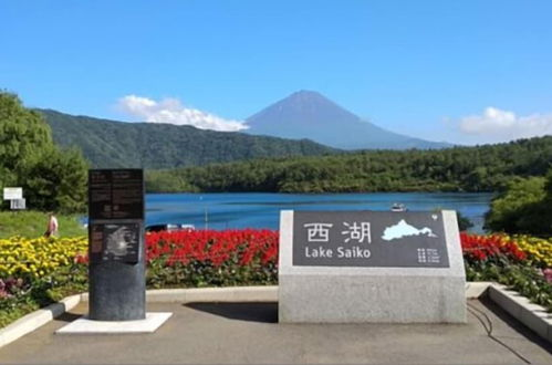 Foto 38 - Sakura Fuji