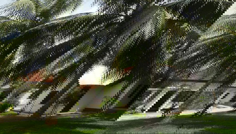 Imagem principal