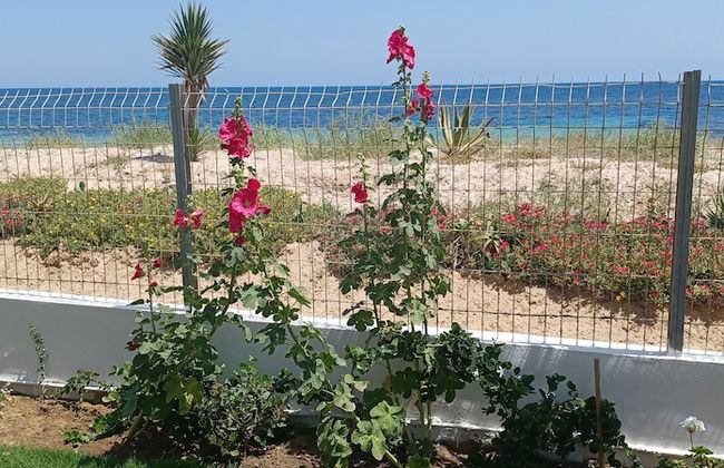 Beach Front Luxury Living Apartment - Foto 29