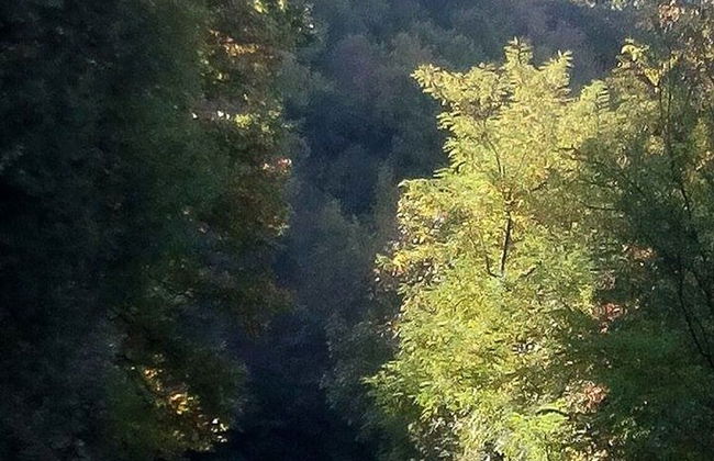 Three Bedroom House With Garden Only 10 km From Veliko Tarnovo - Foto 22