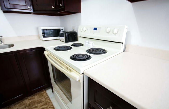 Cattleya's New Kingston Guest Apartment - Photo 11