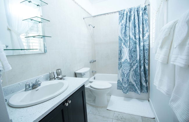 Cattleya's New Kingston Guest Apartment - Photo 18