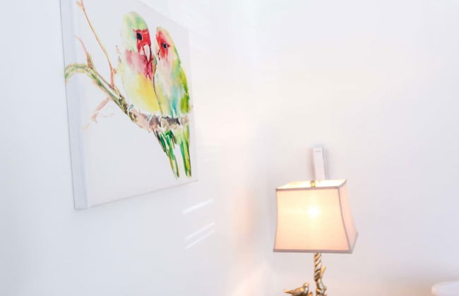 Cattleya's New Kingston Guest Apartment - Photo 21