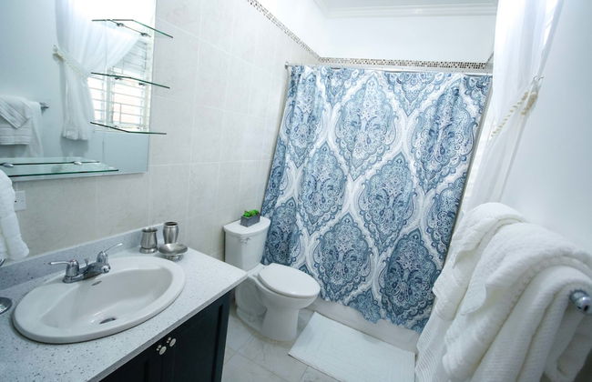 Cattleya's New Kingston Guest Apartment - Photo 17