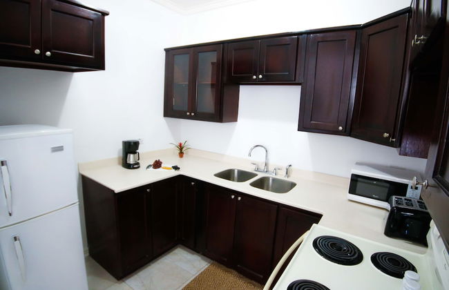 Cattleya's New Kingston Guest Apartment - Photo 9