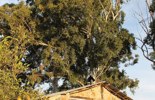 Ardmore Guest Farm - Foto 16