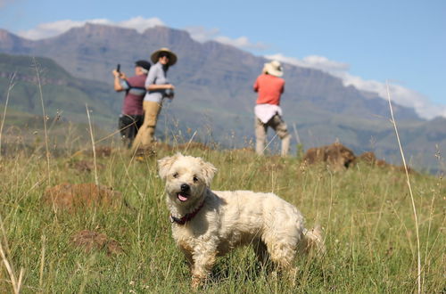 Photo 33 - Ardmore Guest Farm