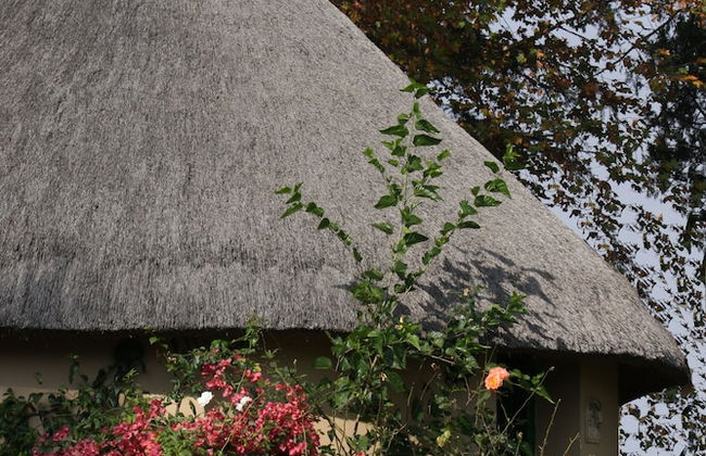 Ardmore Guest Farm - Foto 4