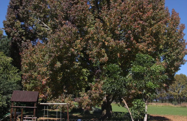 Ardmore Guest Farm - Foto 40