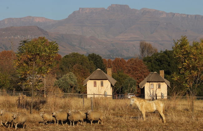 Ardmore Guest Farm - Foto 55