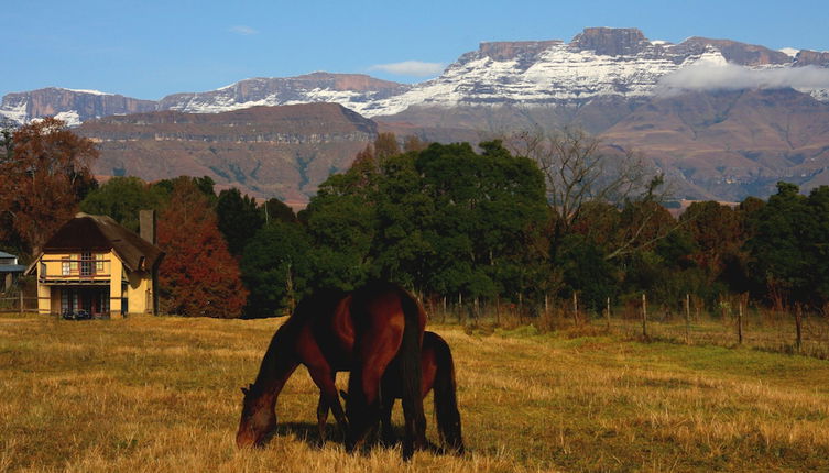 Photo 1 - Ardmore Guest Farm