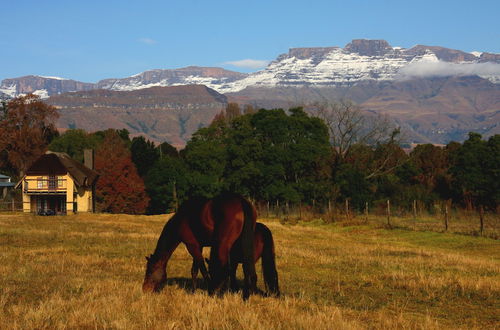 Photo 1 - Ardmore Guest Farm