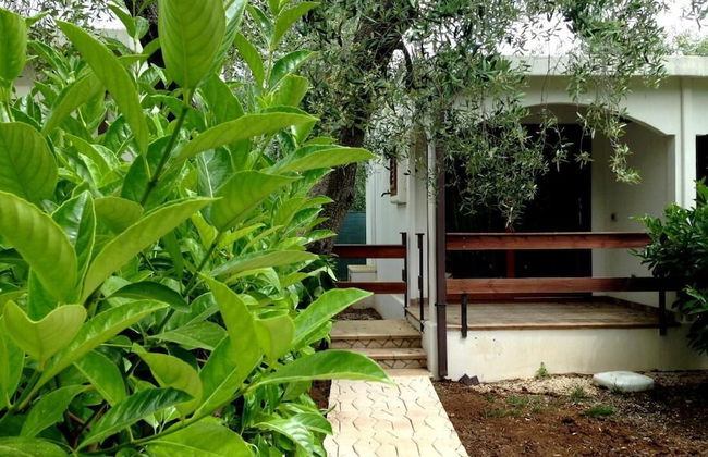 Holiday Apartment Orchidea With Swimming Pool and Private Beach -3 - Photo 28