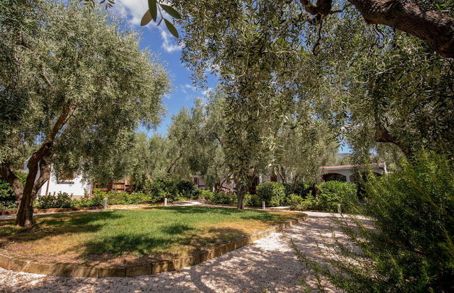 Holiday Apartment Orchidea With Swimming Pool and Private Beach -3 - Photo 45