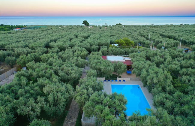 Holiday Apartment Orchidea With Swimming Pool and Private Beach -3 - Photo 40