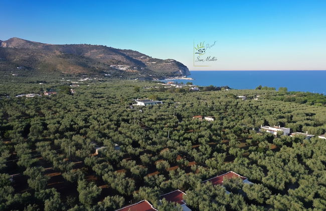 Holiday Apartment Orchidea With Swimming Pool and Private Beach -3 - Photo 75
