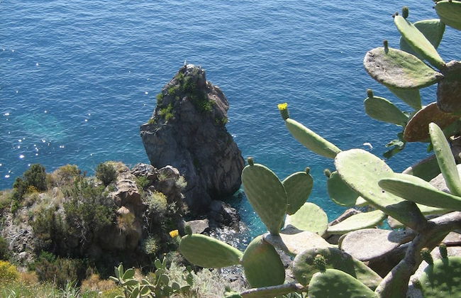 House "sole" - Unique Panorama - Foto 17