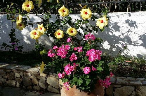 Foto 14 - Exclusive Cottage in S West Crete in a Quiet Olive Grove Near the sea