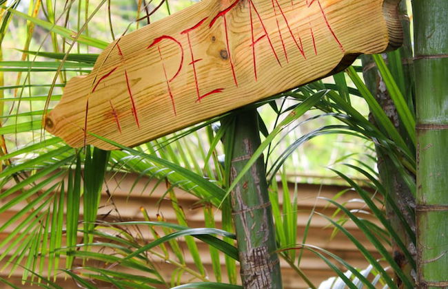 Tropicana Suites - Foto 59