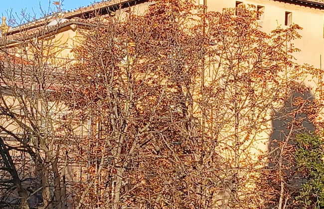 Finsonius Studios - Foto 50