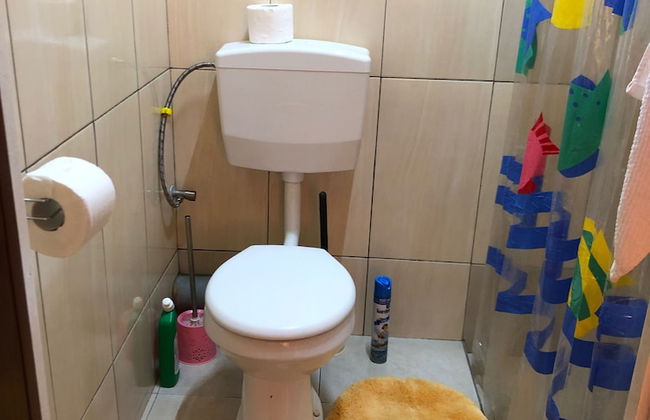 Logerthine Studio Suriname - Foto 6