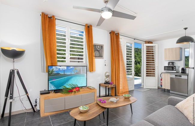 DOMAINE DE MAPOU - Foto 68