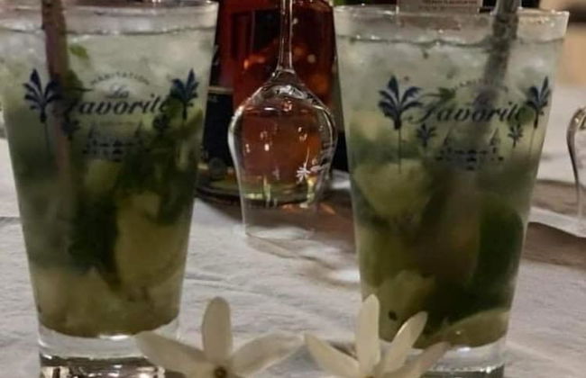 DOMAINE DE MAPOU - Foto 43