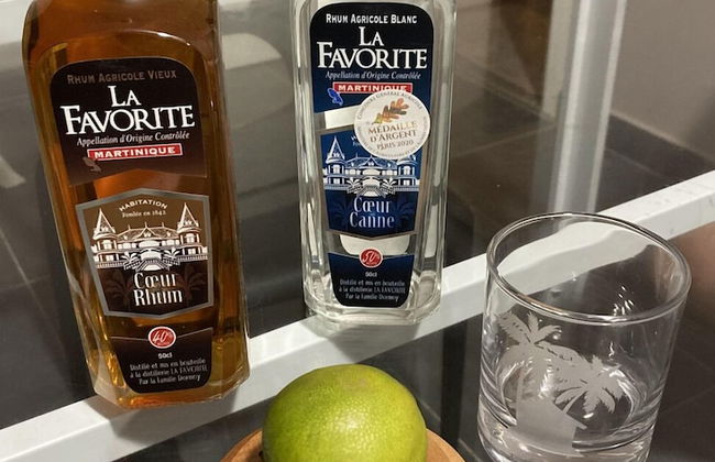 DOMAINE DE MAPOU - Foto 49