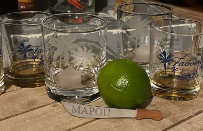 DOMAINE DE MAPOU - Foto 41