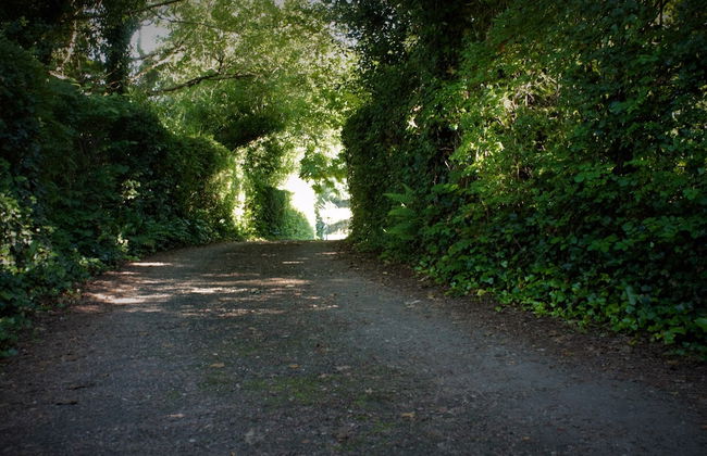Remarkable Apartment in Kenmare, Ireland - Photo 11